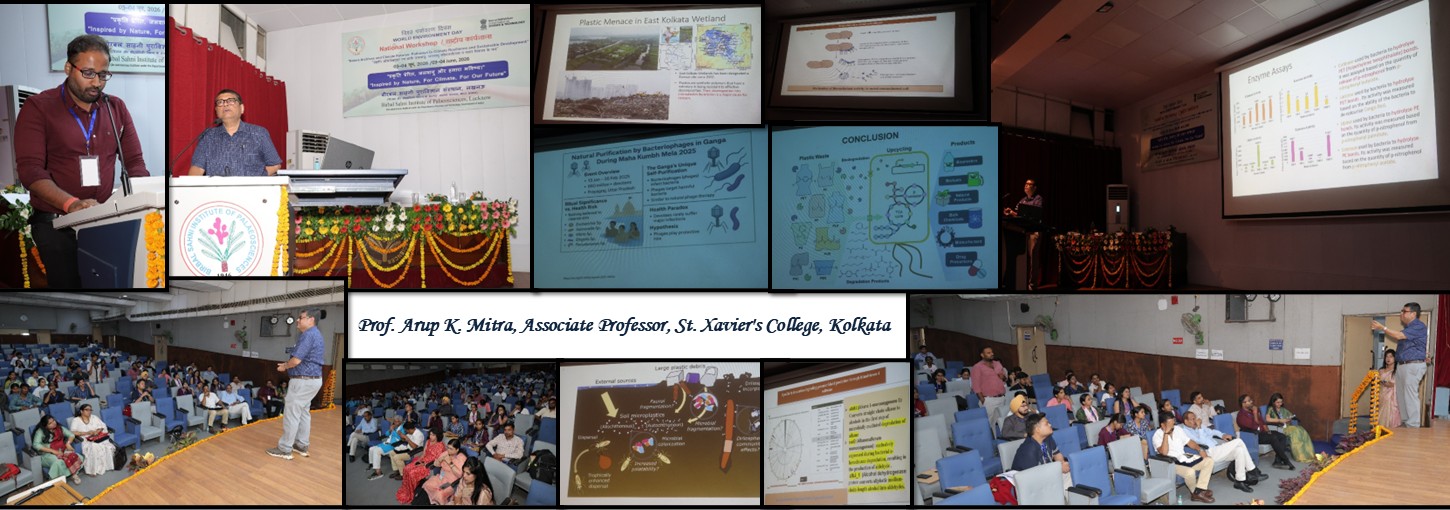 Slide 5