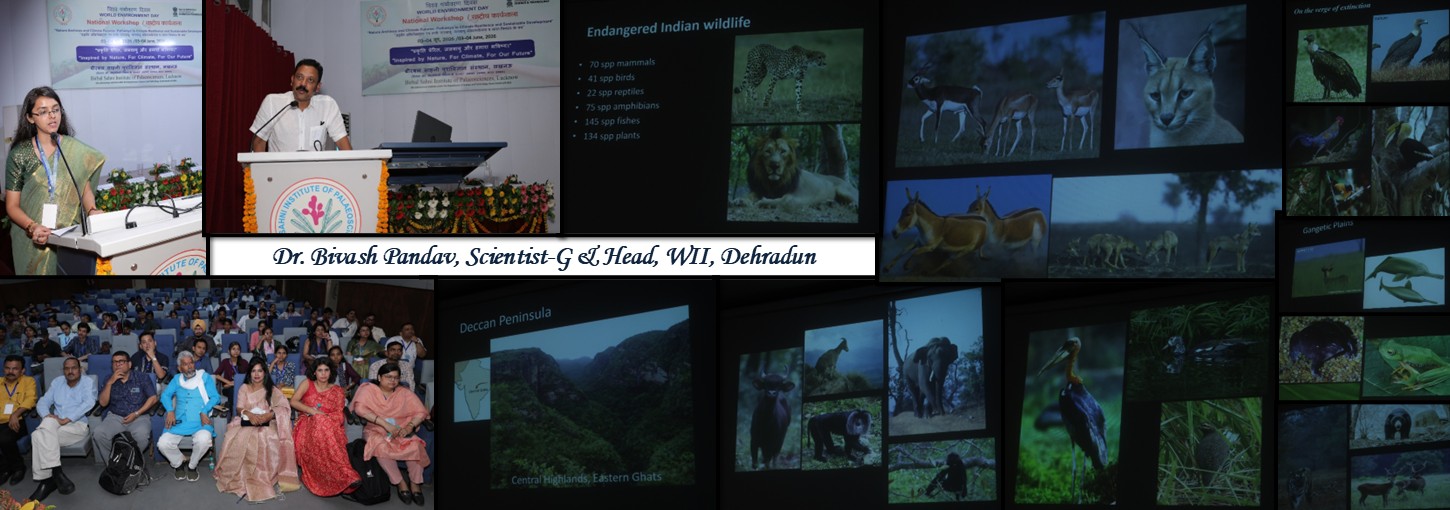 Slide 6